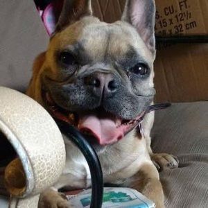 Meet your Posher, Mark